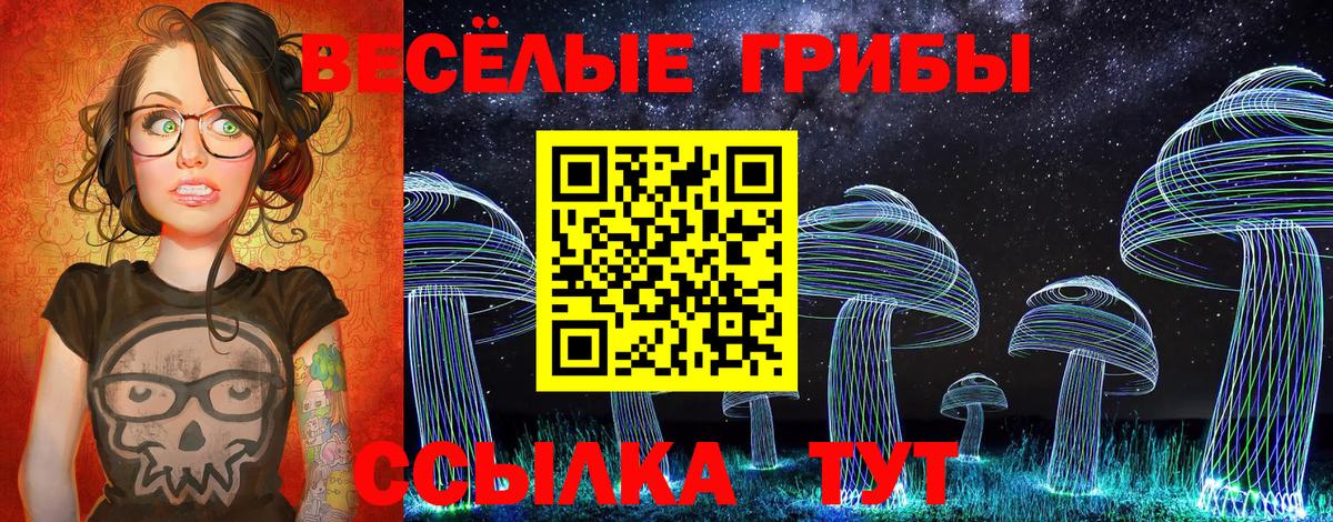 Ангарск  Галлюциногенные грибы Psilocybine cubensis  Вход с VPN 